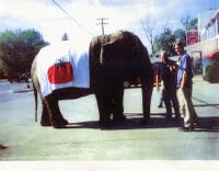 img004.jpg
